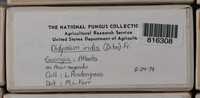 Image Associated With the Occurence